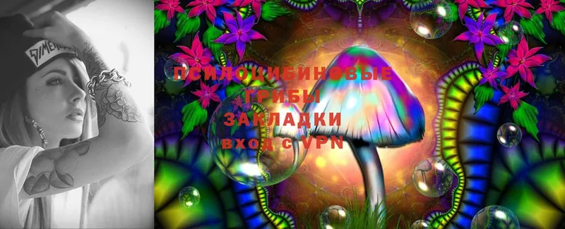 где купить наркоту  Нахабино  Галлюциногенные грибы Cubensis 